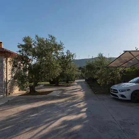 Callisti * Пилос